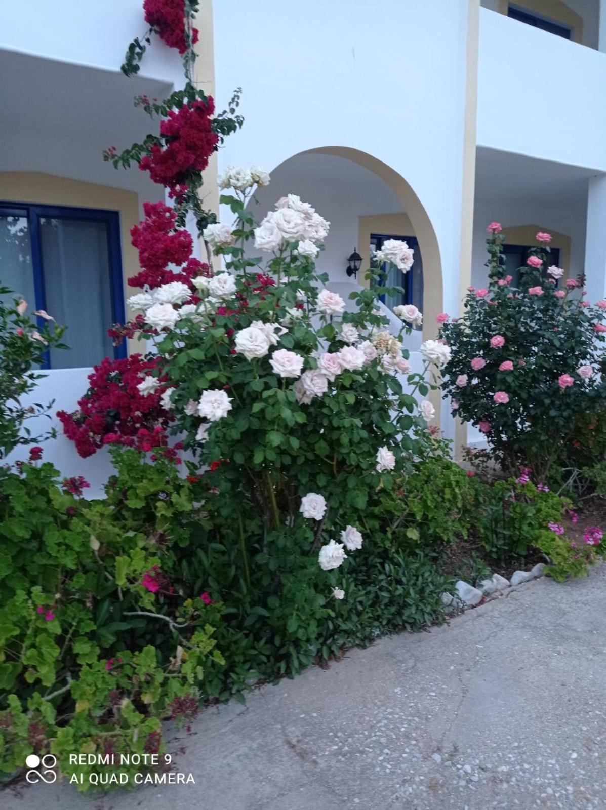 Irinoula Apartments Livadia  Dış mekan fotoğraf